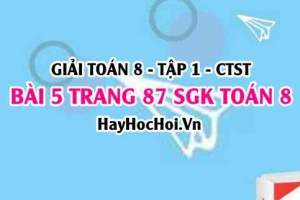 Giải bài 5 trang 87 Toán 8 Tập 1 SGK Chân trời sáng tạo